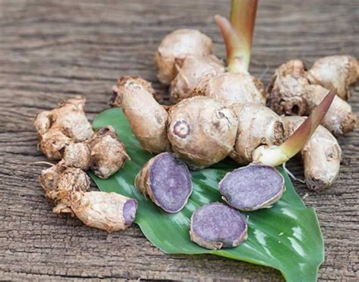 What is Kaempferia Parviflora good for?