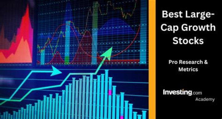 What is large-cap growth stock?