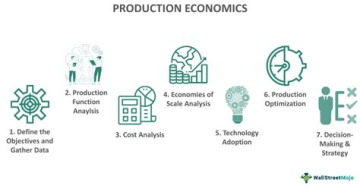 What is meant by scale of production in economics?