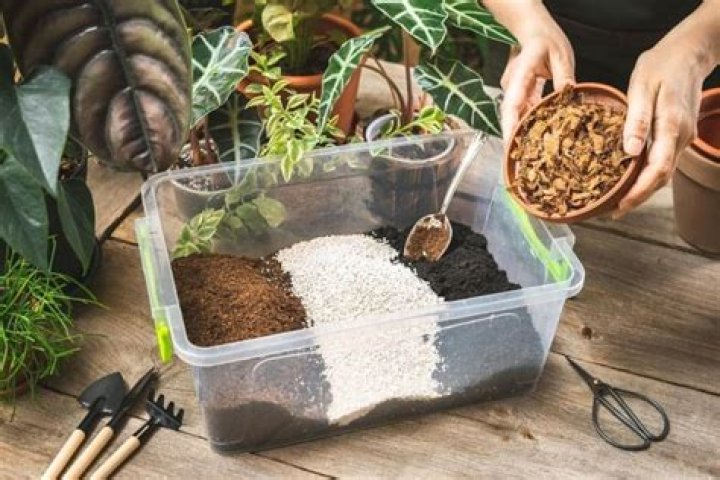 What is the best soil for indoor cannabis plants?