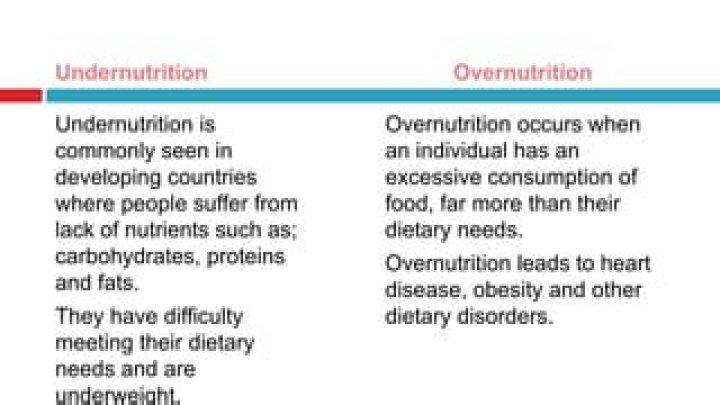 What is the difference between undernutrition and undernourishment?