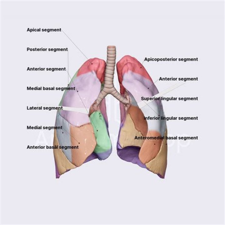 What is the GE segment in EDI?