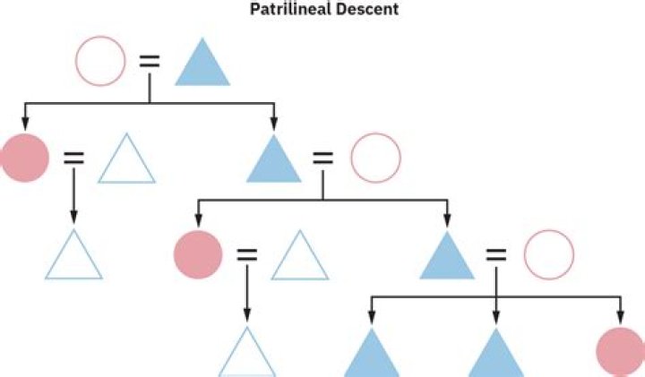 What is the meaning of patrilineal descent?