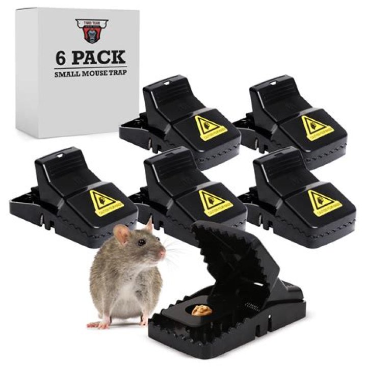 What is the most effective mouse poison?