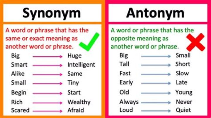 What is the synonym and antonym of purpose?