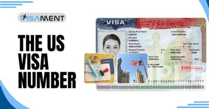 What is the US visa receipt number?