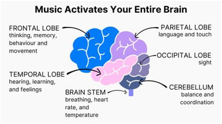 What juggling does to the brain?