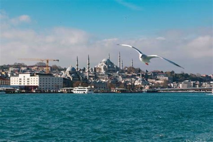 What makes Reina Istanbul so special?