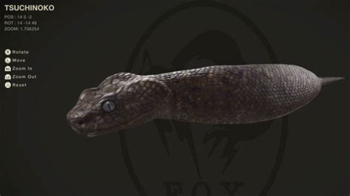Where can I find Tsuchinoko in MGS3?