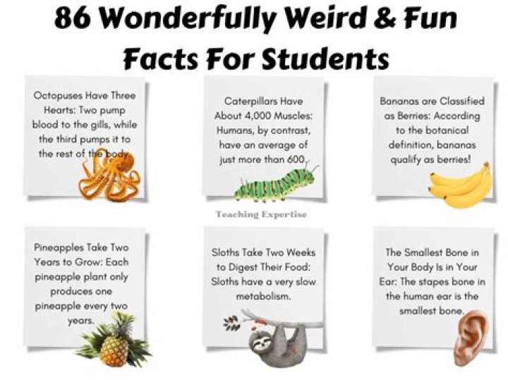 Which are the top weird tech facts?