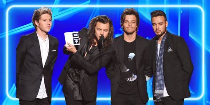 Who are the members of one direction and who are they?