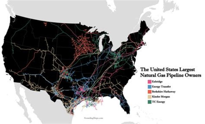 Who is the largest natural gas distributor?
