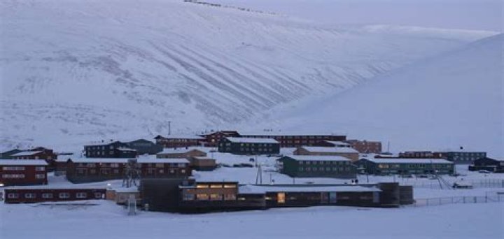 Why are cats banned in Svalbard?